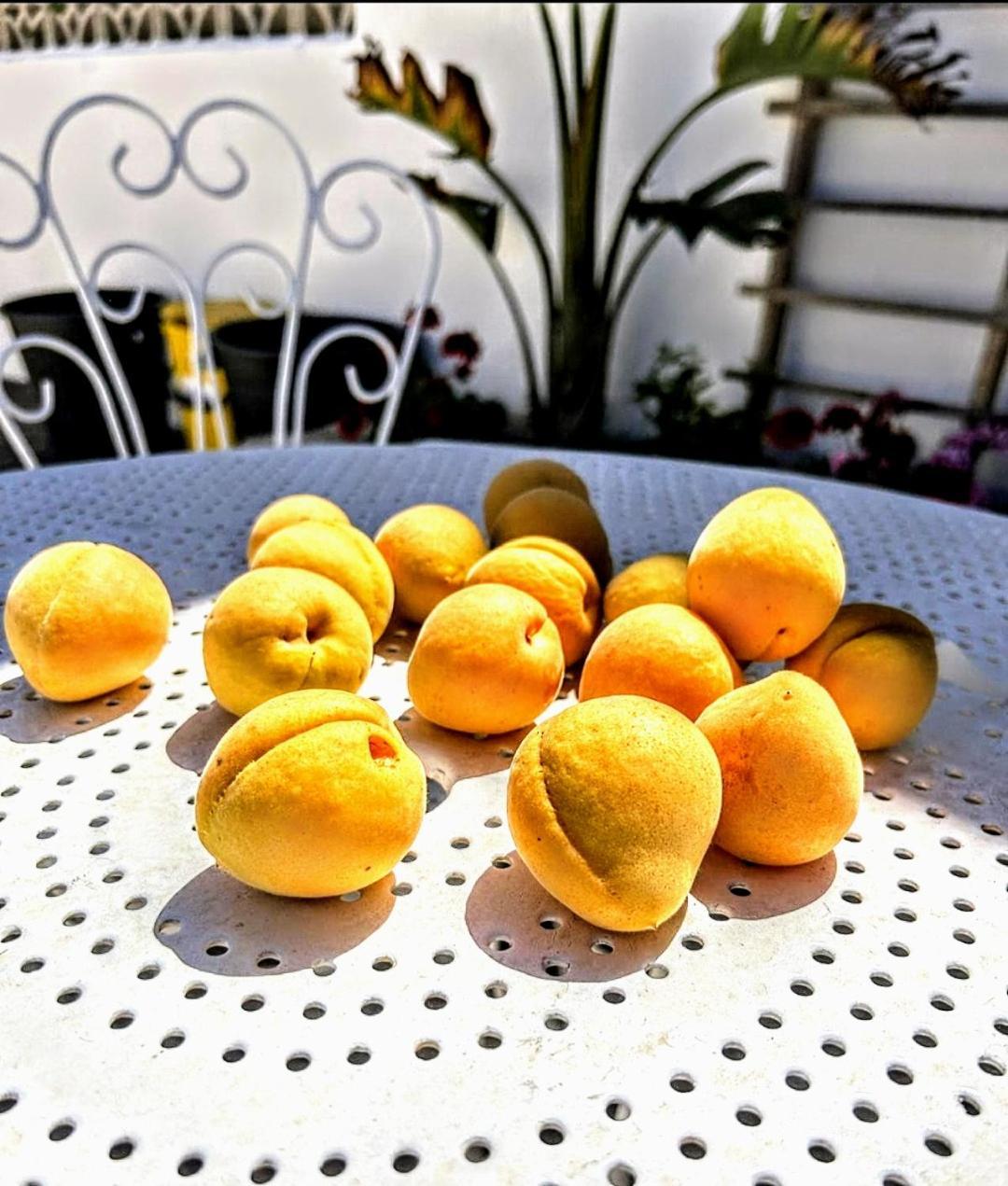 Appartamento Casa Dei Frutti Di Ostuni Esterno foto
